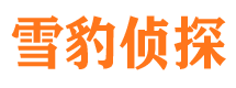 港北市侦探调查公司